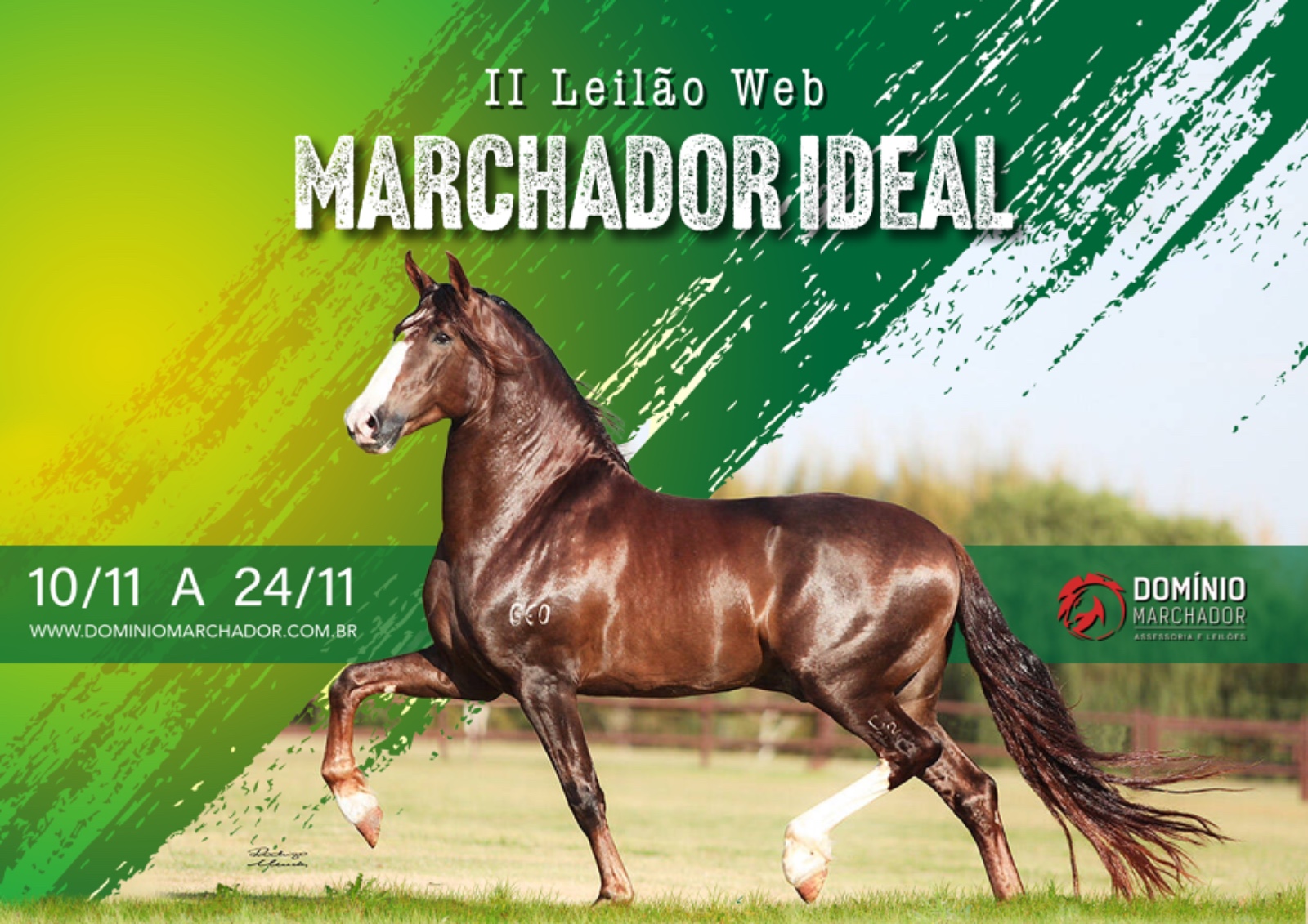 II Leilo Web Marchador Ideal